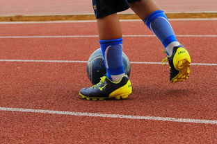 开云体育app官网-校园足球缺乏横向联赛结构支撑，我国校园足球训练存在的问题  第3张